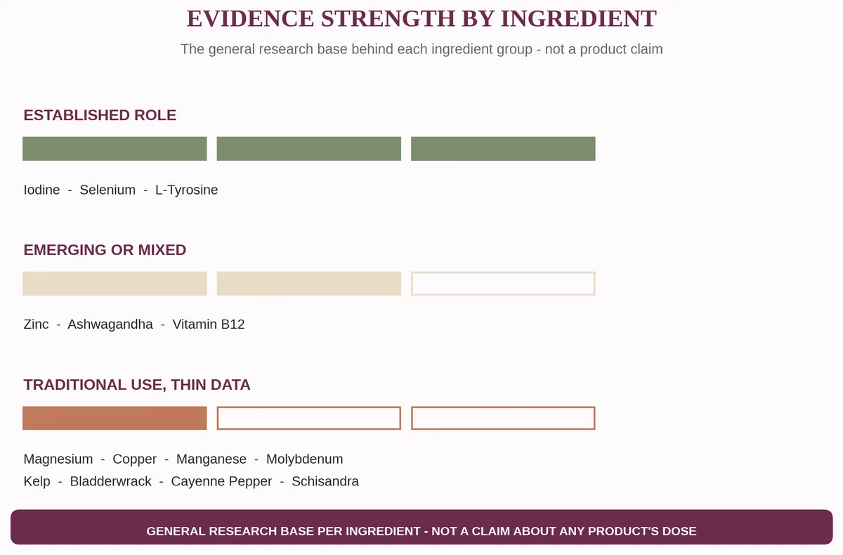 Chart rating human clinical evidence strength across all 14 thyroid-support supplement ingredients