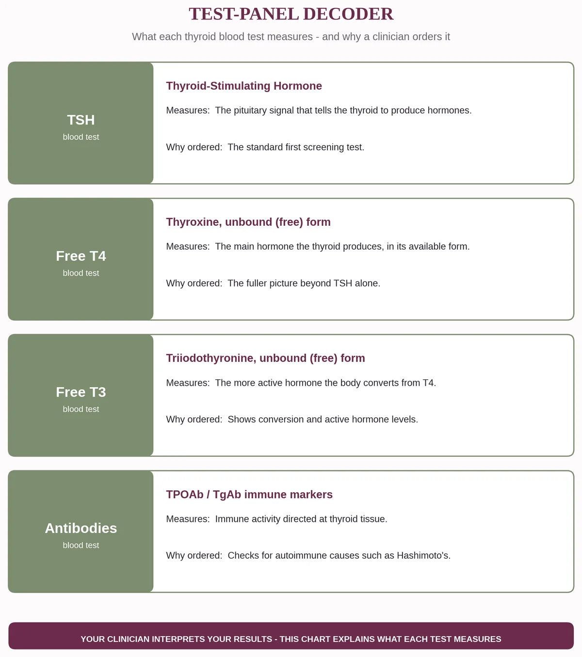 Visual decoder of the four core thyroid blood tests: TSH, Free T4, Free T3, and TPOAb/TgAb antibodies