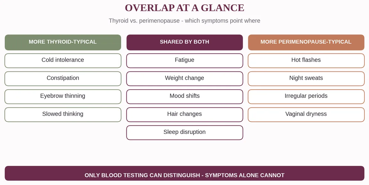 Diagram comparing thyroid-typical, perimenopause-typical, and shared symptoms requiring blood tests